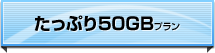 たっぷり50GBプラン